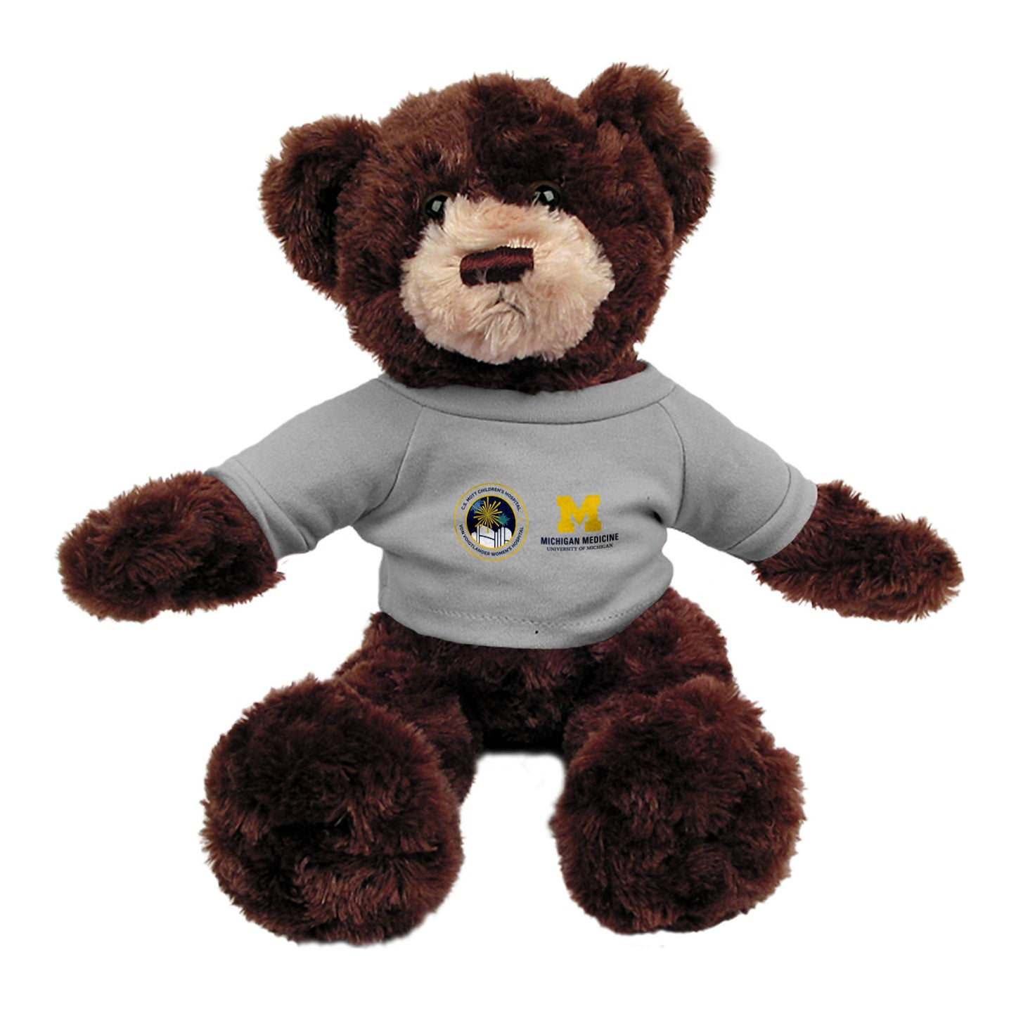 Milestones, Memories, and Momentum Teddy Bear